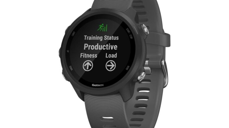 Garmin forerunner 245 bands