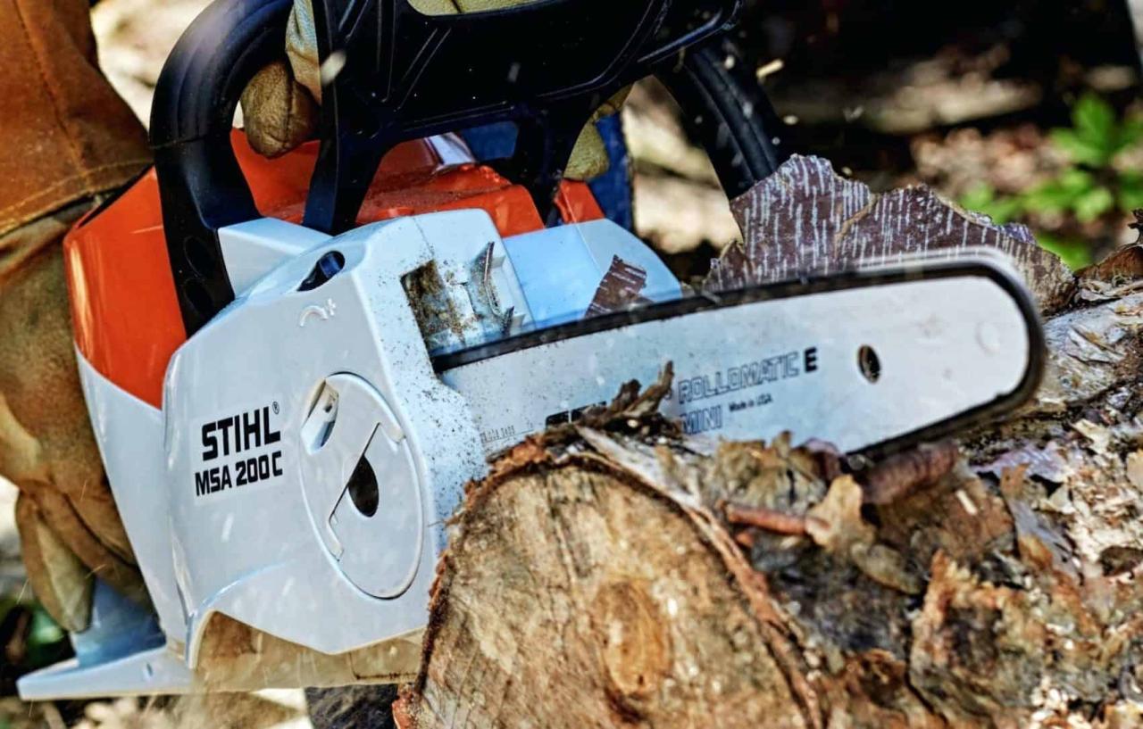 Cordless chainsaw pproreviews craftsman v60 chainsaws