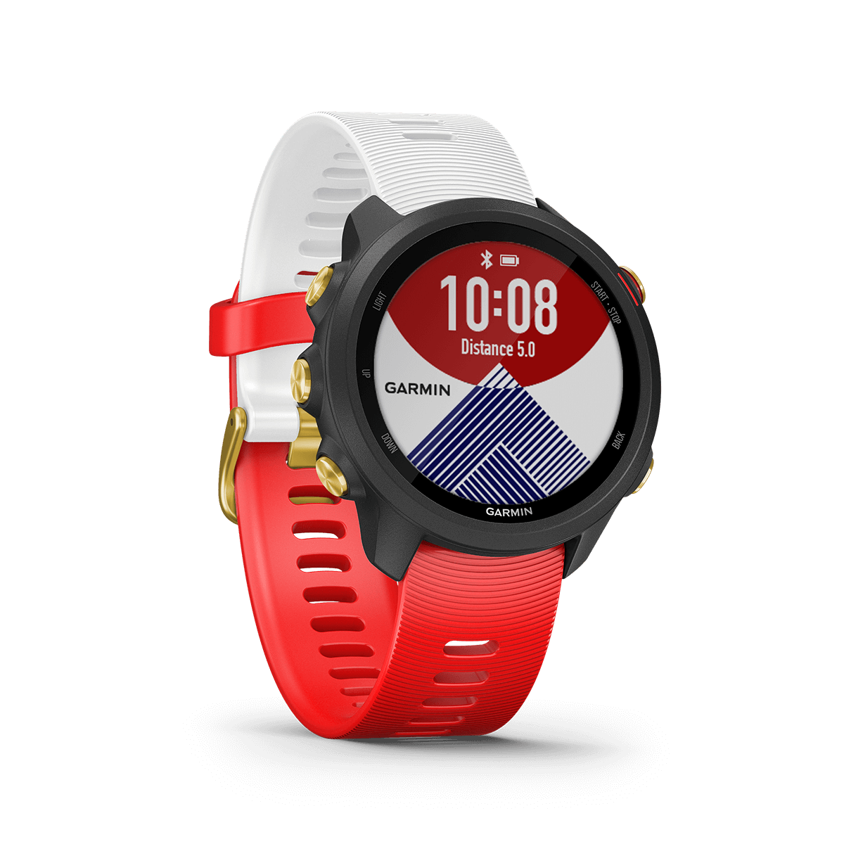 Garmin forerunner lava