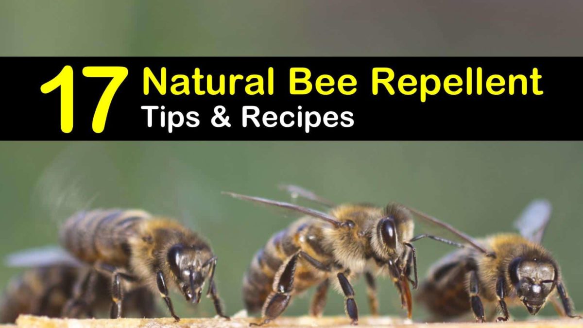 Natural bee repellent